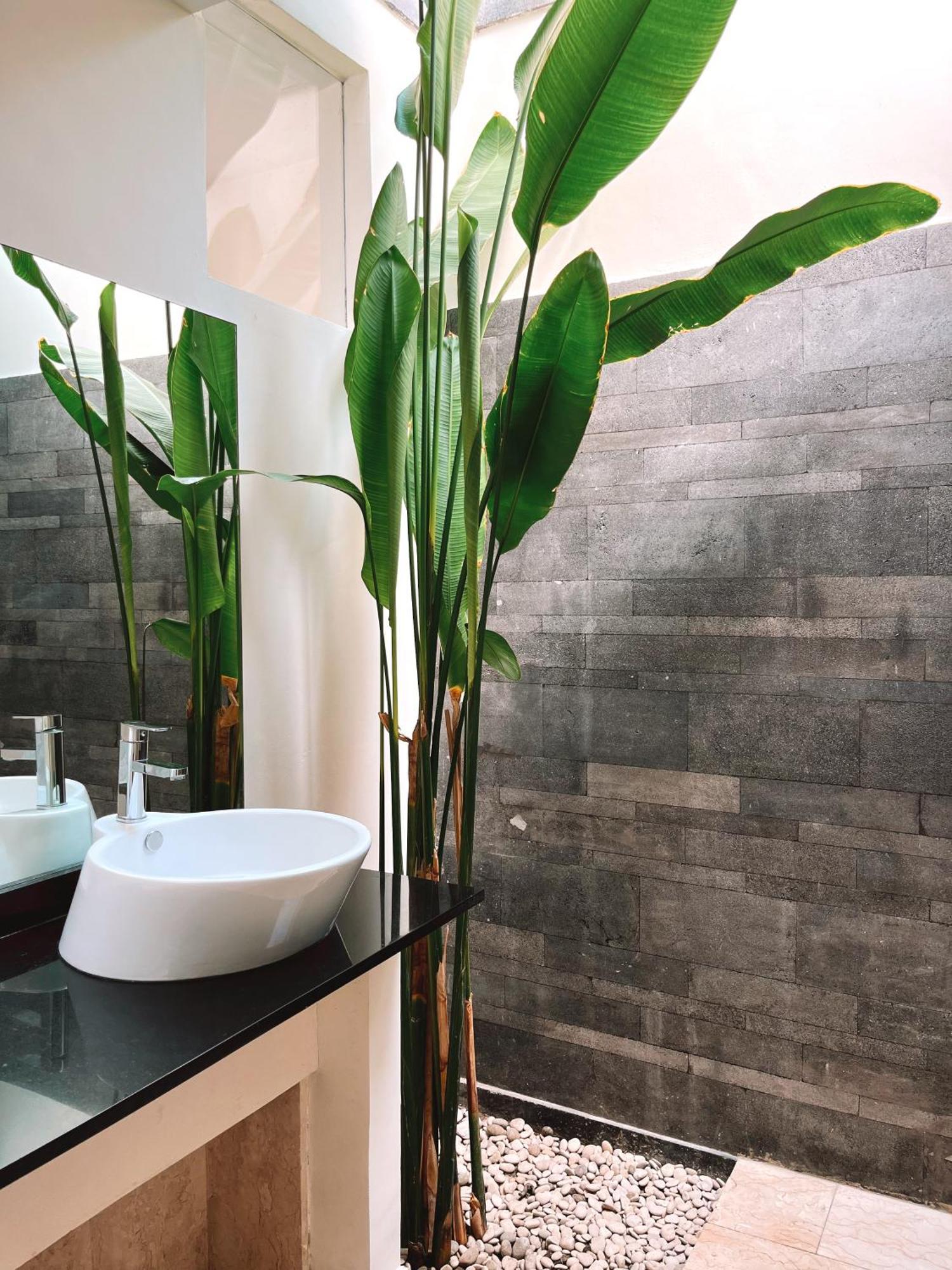 Aster Villa Seminyak Dış mekan fotoğraf